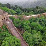 brown concrete wall surrounded by trees
